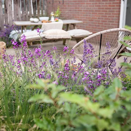 Ferienhaus Bloem 4 Personen Stolpen