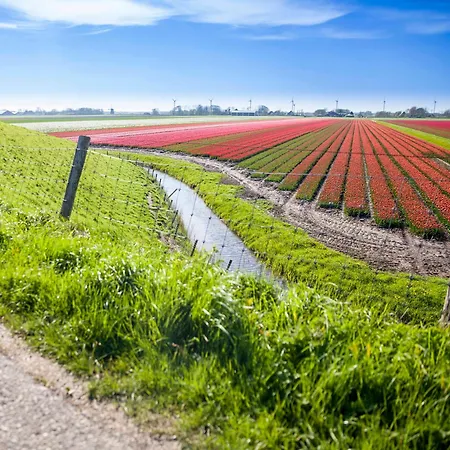 Ferienhaus Bloem 4 Personen
